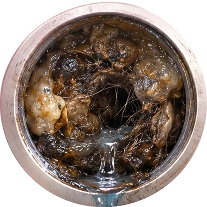Severely restricted drain pipe
