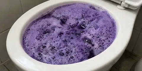Fuugu foaming reaction demo